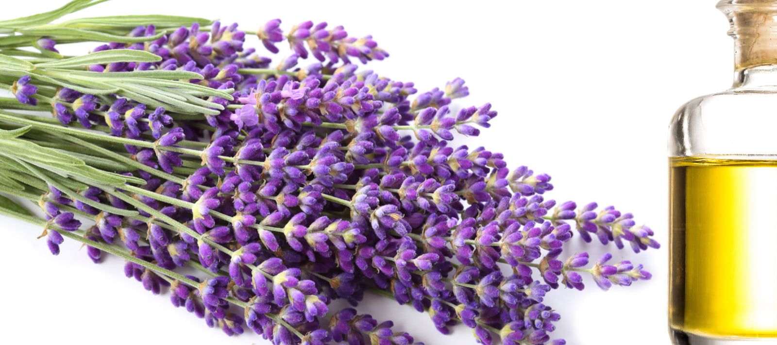 Lavender Body Scrubs