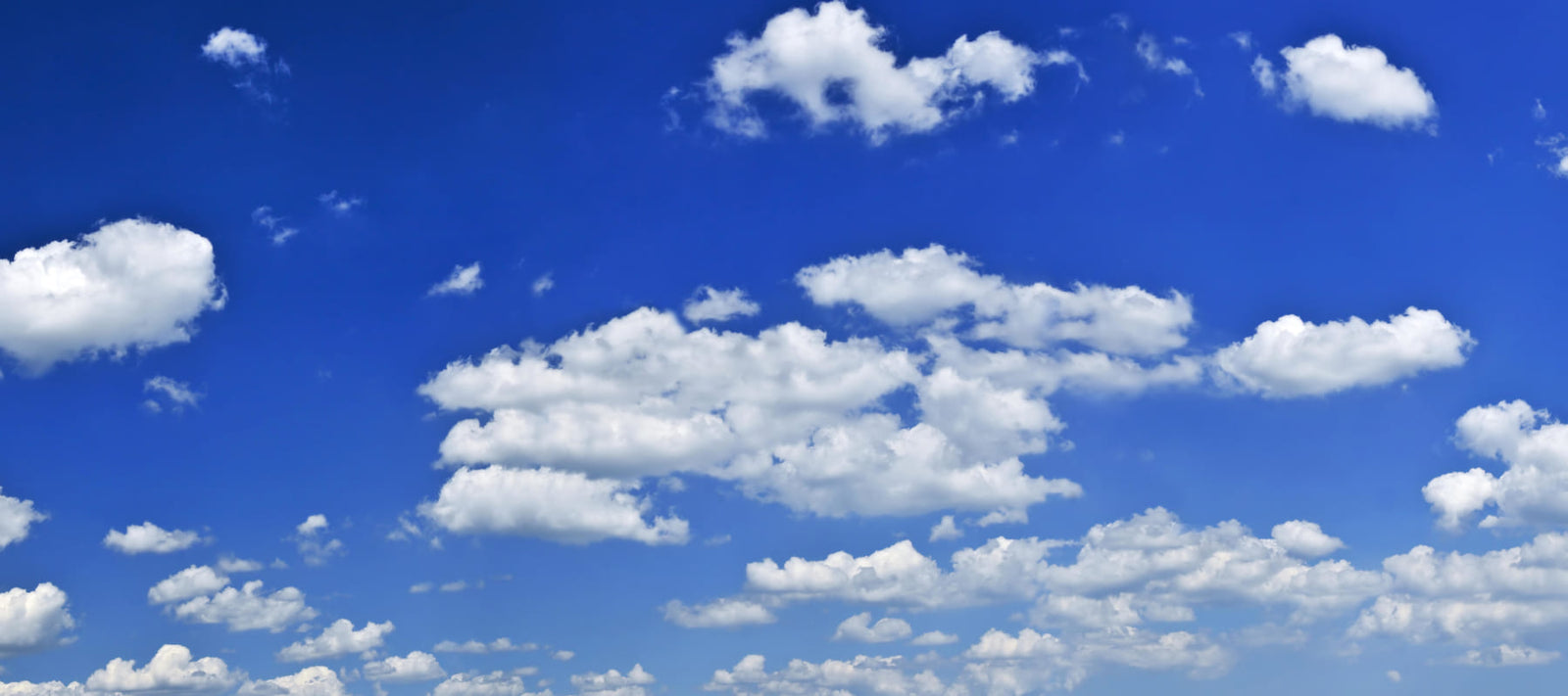 Unscented Body Scrubs