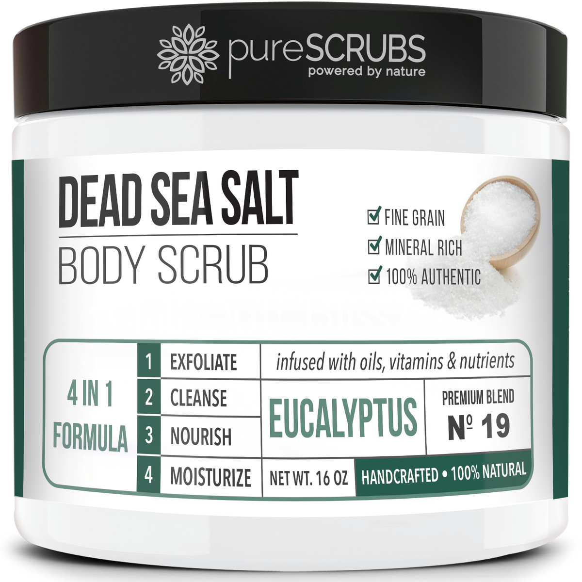 Eucalyptus Body Scrub / Dead Sea Salt / Premium Blend #19